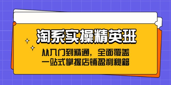 淘系实操精英班：从入门到精通，全面覆盖，一站式掌握店铺盈利秘籍-我爱自学网