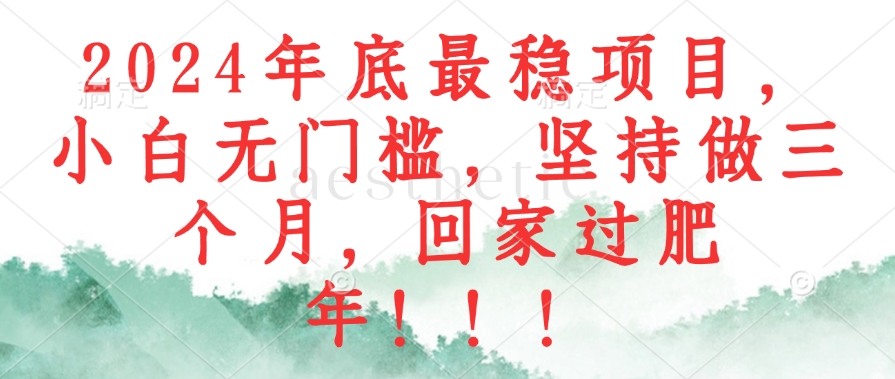 2024年底最稳项目，小白无门槛，坚持做三个月，回家过肥年！！！-我爱自学网