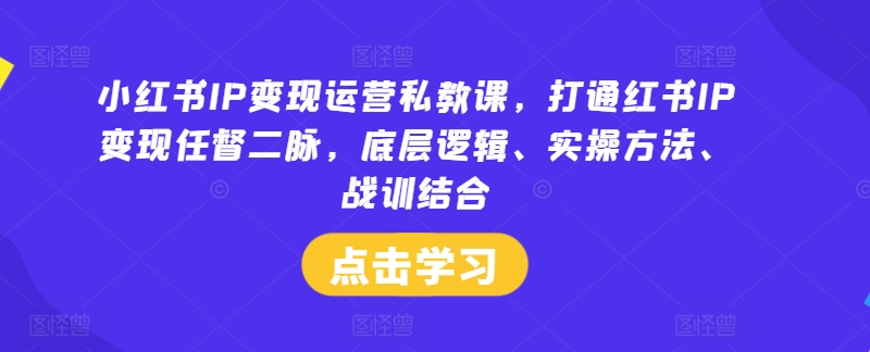 小红书IP变现运营私教课，打通红书IP变现任督二脉，底层逻辑、实操方法、战训结合-我爱自学网