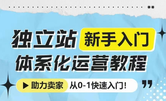 独立站新手入门体系化运营教程，助力独立站卖家从0-1快速入门!-我爱自学网