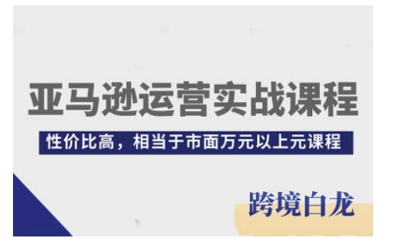 亚马逊运营实战课程，亚马逊从入门到精通，性价比高，相当于市面万元以上元课程-我爱自学网