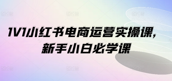 1V1小红书电商运营实操课，新手小白必学课-我爱自学网