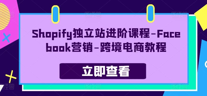 Shopify独立站进阶课程-Facebook营销-跨境电商教程-我爱自学网