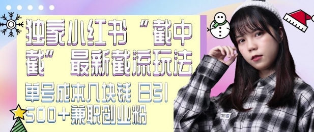 最新小红书截流玩法 独家截中截 单号成本几块钱 日引500+CY粉JZ粉-我爱自学网