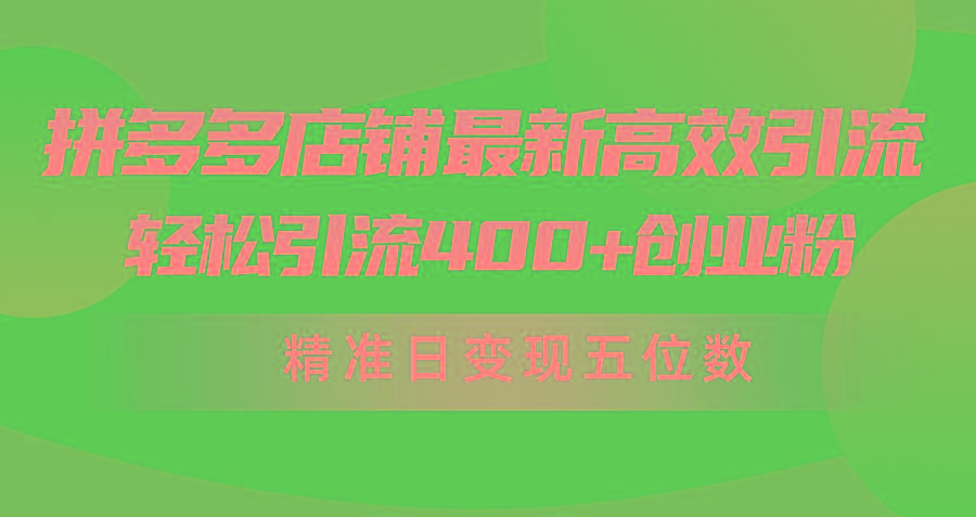(10041期)拼多多店铺最新高效引流术，轻松引流400+创业粉，精准日变现五位数！-我爱自学网