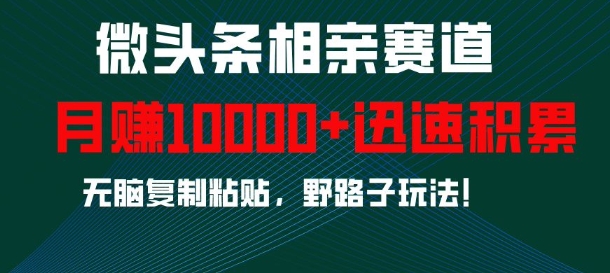 微头条相亲赛道，迅速积累，无脑复制粘贴，野路子玩法，月入1w-我爱自学网