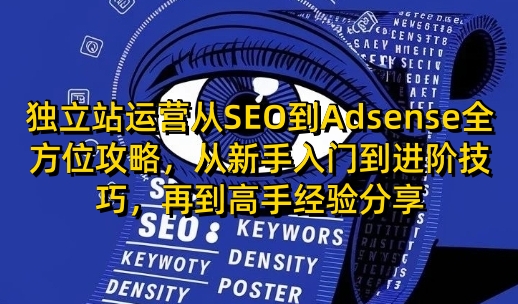 独立站运营从SEO到Adsense全方位攻略，从新手入门到进阶技巧，再到高手经验分享-我爱自学网