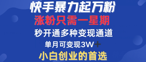 快手暴力起万粉，涨粉只需一星期，多种变现模式，直接秒开万合，单月变现过W【揭秘】-我爱自学网