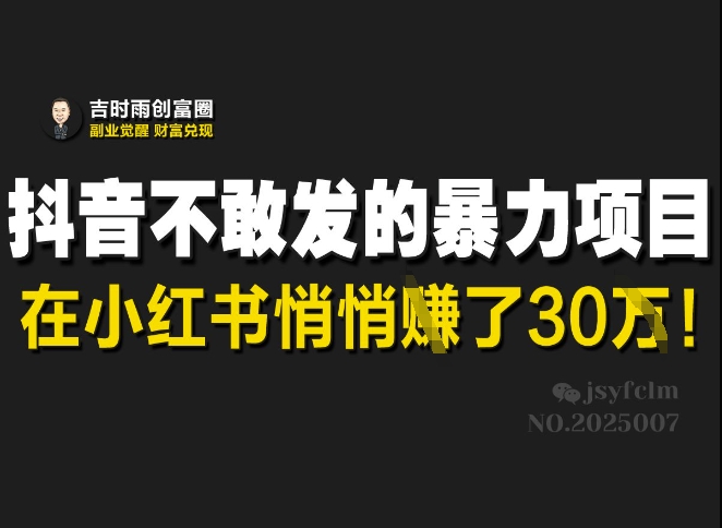 抖音不敢发的暴利项目，在小红书悄悄挣了30W-我爱自学网