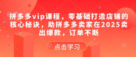 拼多多vip课程，零基础打造店铺的核心秘诀，助拼多多卖家在2025卖出爆款，订单不断-我爱自学网