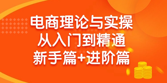 (9576期)电商理论与实操从入门到精通 新手篇+进阶篇-我爱自学网