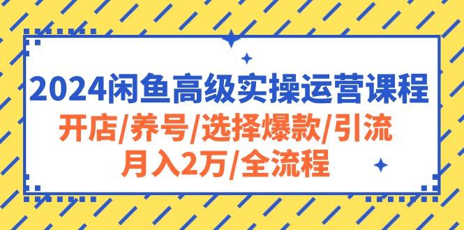 2024闲鱼高级实操运营课程：开店/养号/选择爆款/引流/月入2万/全流程-我爱自学网