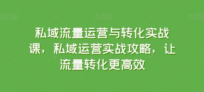 私域流量运营与转化实战课，私域运营实战攻略，让流量转化更高效-我爱自学网