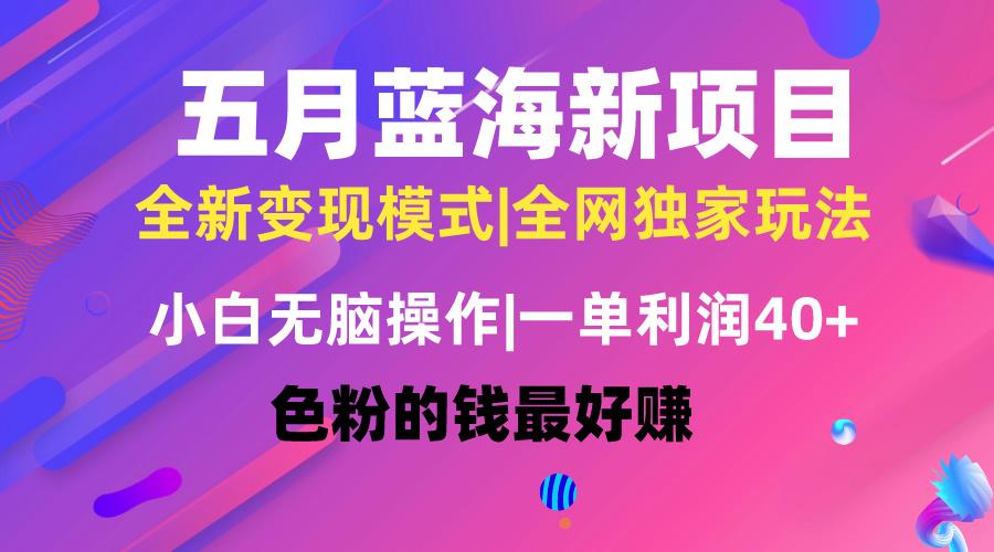 五月蓝海项目全新玩法，小白无脑操作，一天几分钟，矩阵操作，月入4万+-我爱自学网