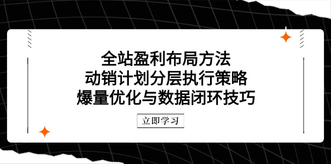 全站盈利布局方法：动销计划分层执行策略，爆量优化与数据闭环技巧-我爱自学网