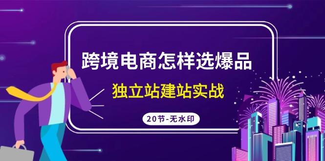 (9369期)跨境电商怎样选爆品，独立站建站实战(20节高清无水印课)-我爱自学网