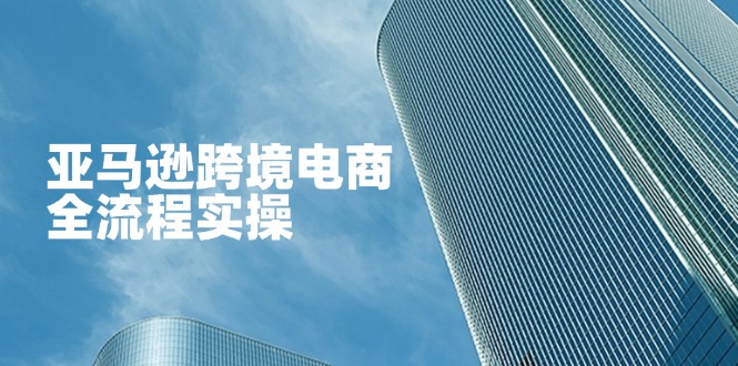 亚马逊跨境电商全流程实操，教你从零开始，掌握店铺运营与广告技巧-我爱自学网
