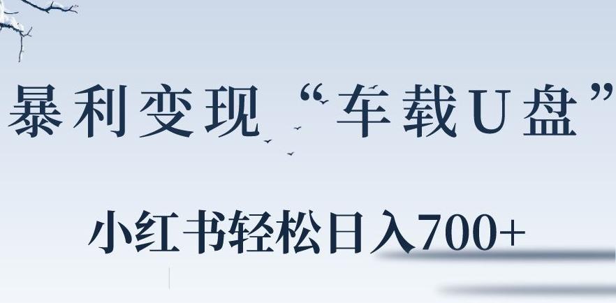 小红书“车载U盘”暴利引流，日入700+-我爱自学网