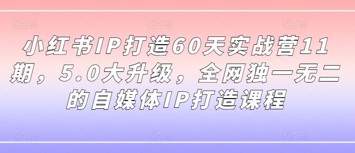 小红书IP打造60天实战营11期，5.0大升级，全网独一无二的自媒体IP打造课程-我爱自学网