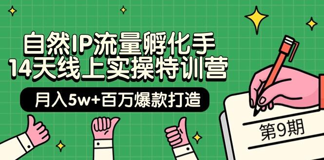 (9881期)自然IP流量孵化手 14天线上实操特训营【第9期】月入5w+百万爆款打造 (74节)-我爱自学网
