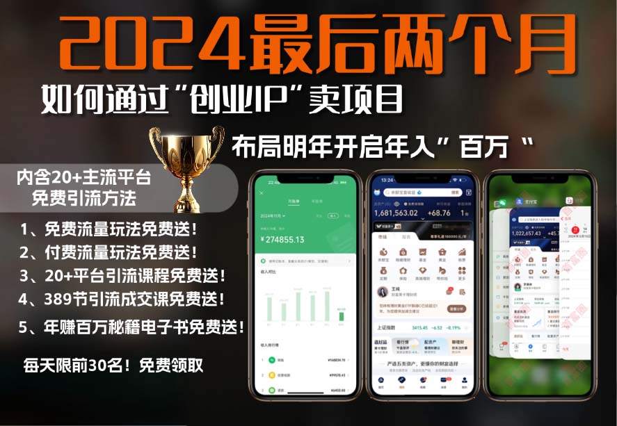 2024最后两个月如何通过”创业IP“卖项目年入”百万“,创业IP+最强引流…-我爱自学网