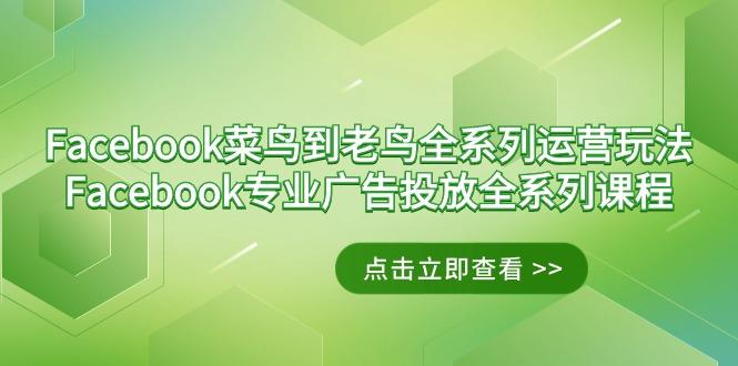 Facebook-菜鸟到老鸟全系列运营玩法+Facebook-专业广告投放全系列课程-我爱自学网