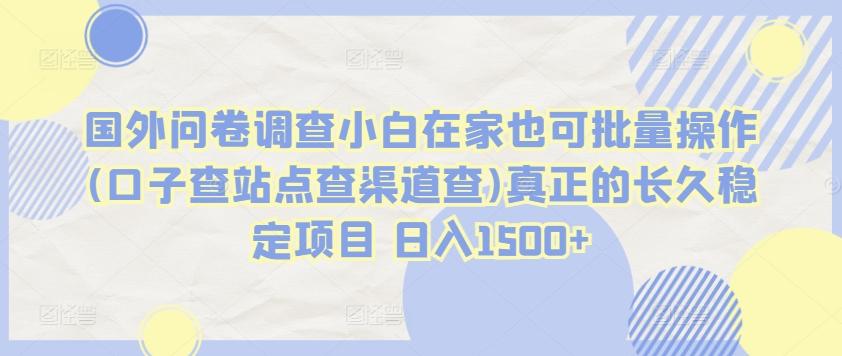 国外问卷调查小白在家也可批量操作(口子查站点查渠道查)真正的长久稳定项目 日入1500+【揭秘】-我爱自学网