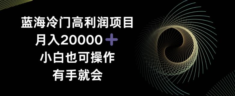 蓝海冷门高利润项目月入2000，小白也可操作有手就会-我爱自学网