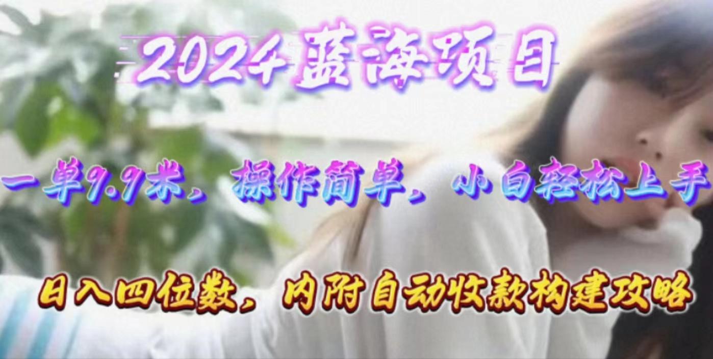 年轻群体的蓝海市场，1单9.9元，操作简单，小白轻松上手，日入四位数-我爱自学网