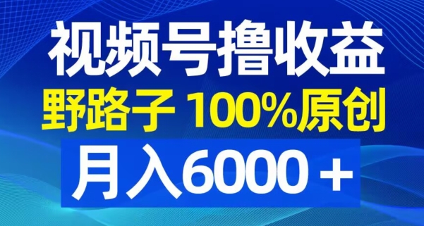 视频号野路子撸收益，100%原创，条条爆款，月入6000＋【揭秘】-我爱自学网