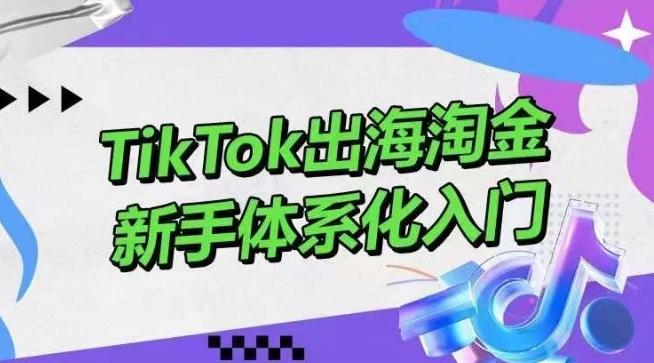 TikTok出海淘金，新手体系化入门，零基础快速入门，掌握短视频、直播带货等引流到变现的知识-我爱自学网