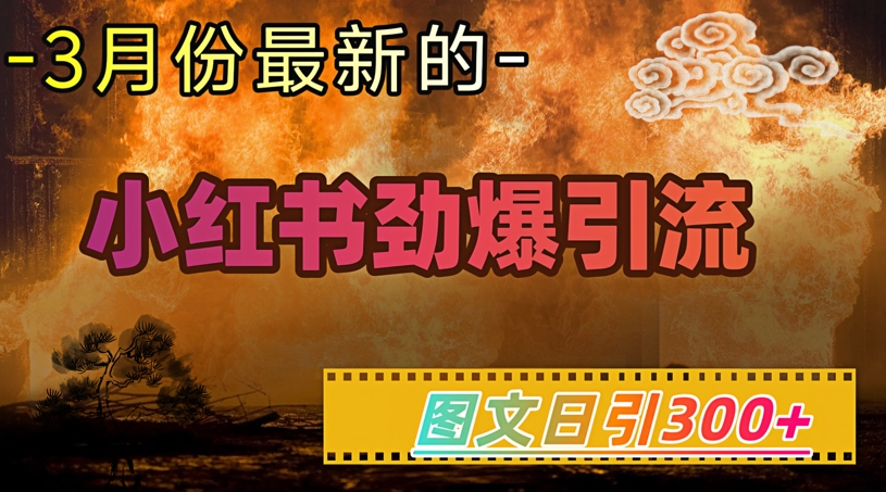 小红书超劲爆引流手段，图文日引300+轻松变现1W-我爱自学网