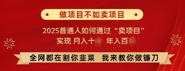 必看，做项目不如卖项目，2025普通人如何通过“卖项目”实现月入十个，年入百个-我爱自学网