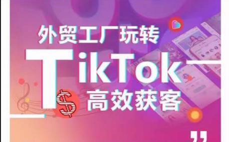 外贸工厂玩转TikTok高效获客，多种引流方式与账号定位技巧，拆解爆款短视频打造成功案例-我爱自学网