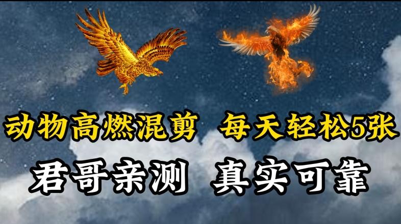 动物超燃混剪，每天轻松5张，剪辑简单大家爱看【揭秘】-我爱自学网