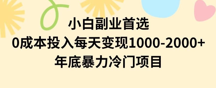 小白副业首选，0成本投入，每天变现1000-2000年底暴力冷门项目【揭秘】-我爱自学网
