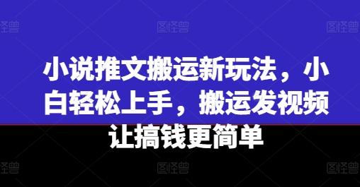 小说推文搬运新玩法，小白轻松上手，搬运发视频让搞钱更简单-我爱自学网