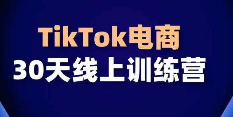 TikTok电商带货30天线上课，不可错过的全球流量洼地！-我爱自学网