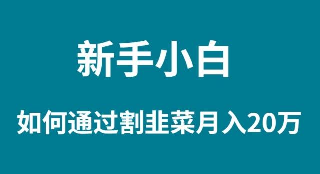 (9308期)新手小白如何通过割韭菜月入 20W-我爱自学网