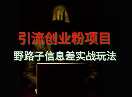 【引流创业粉】野路子信息差玩法实战教学-我爱自学网