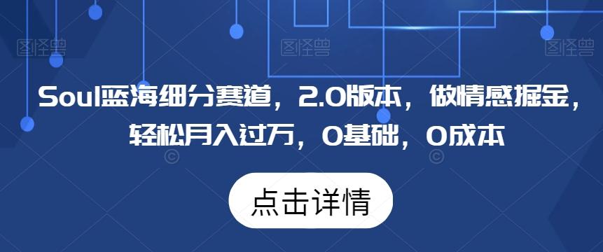 Soul蓝海细分赛道，2.0版本，做情感掘金，轻松月入过万，0基础，0成本-我爱自学网