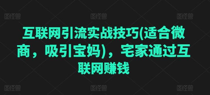 互联网引流实战技巧(适合微商，吸引宝妈)，宅家通过互联网赚钱-我爱自学网