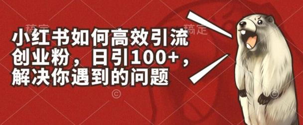 小红书如何高效引流创业粉，日引100+，解决你遇到的问题【揭秘】-我爱自学网