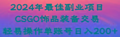 2024年最佳副业项目 CSGO饰品装备交易 轻易操作单账号日入200+-我爱自学网