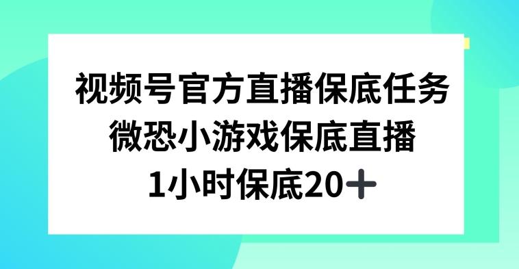视频号直播任务，微恐小游戏，1小时20+【揭秘】-我爱自学网