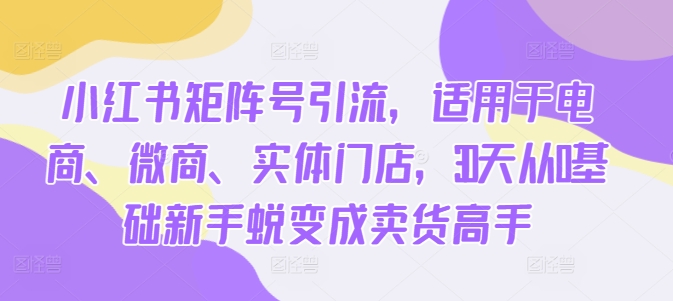 小红书矩阵号引流，适用于电商、微商、实体门店，30天从0基础新手蜕变成卖货高手-我爱自学网