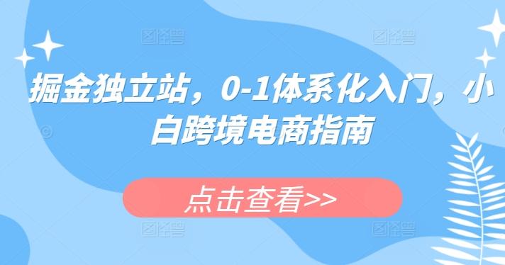 掘金独立站，0-1体系化入门，小白跨境电商指南-我爱自学网