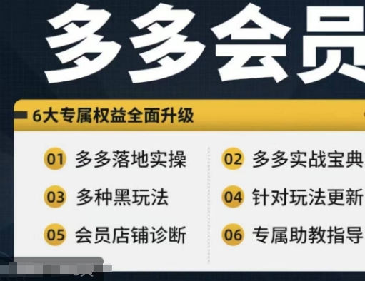 拼多多会员，拼多多实战宝典+实战落地实操，从新手到高阶内容全面覆盖-我爱自学网