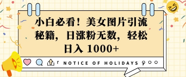 小白必看，美女图片引流秘籍，日涨粉无数，轻松日入几张【揭秘】-我爱自学网