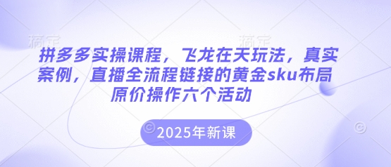拼多多实操课程，飞龙在天玩法，真实案例，直播全流程链接的黄金sku布局原价操作六个活动-我爱自学网